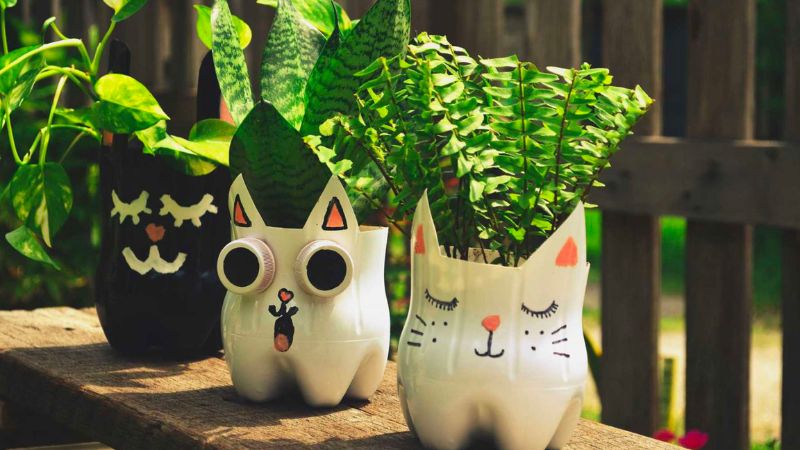Tái chế chai nhựa, thùng nhựa để trồng cây